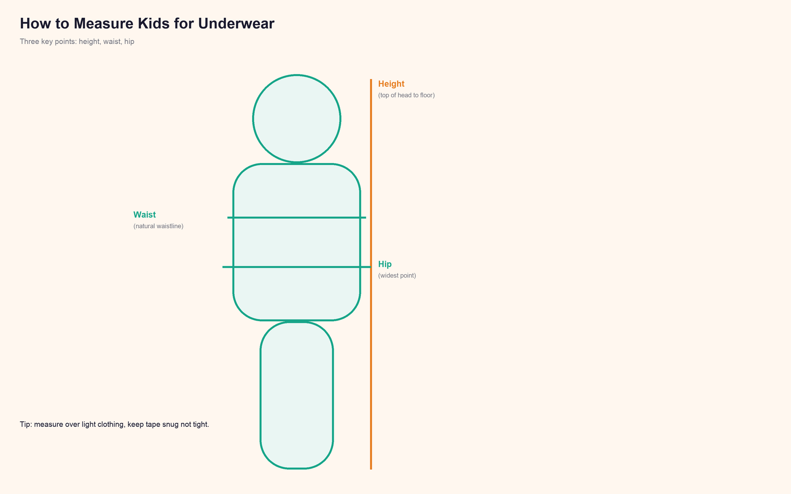 How to measure kids for underwear: height, waist, hip