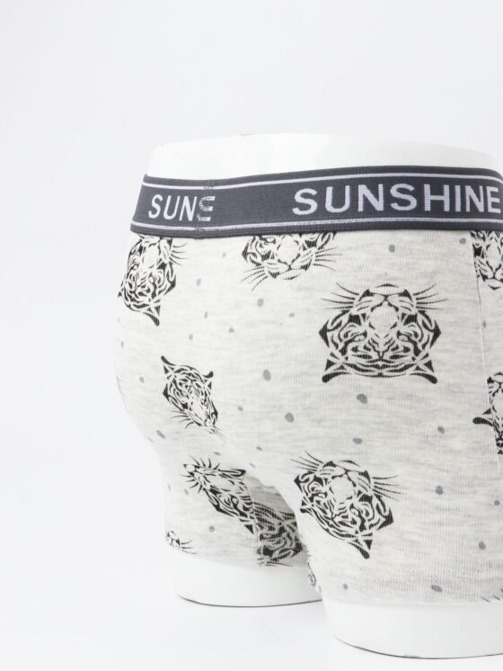 Wholesale Boys 100% Cotton Boxer Briefs | Custom Kids Sleepwear OEM Nuohua