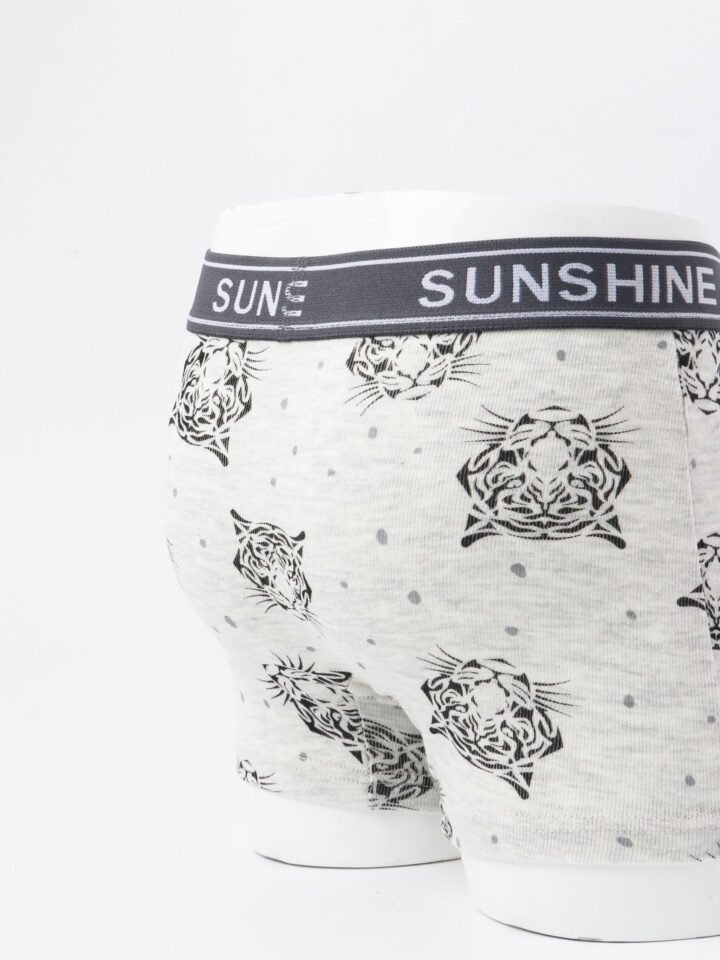 Wholesale Boys 100% Cotton Boxer Briefs | Custom Kids Sleepwear OEM Nuohua