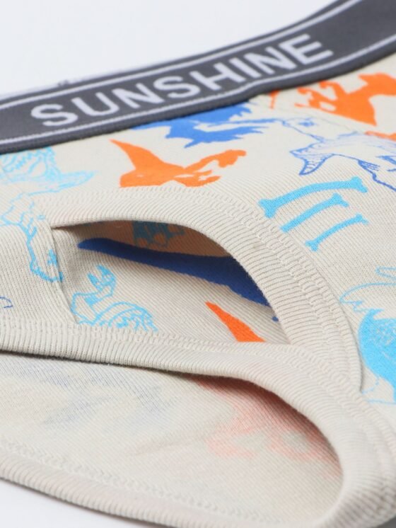 Wholesale Boys 100% Cotton Briefs | Custom Kids Sleepwear OEM Nuohua
